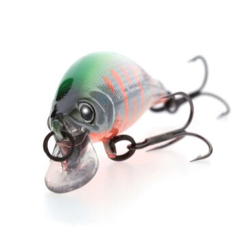 Morph 50SS #001,001, small image number 5