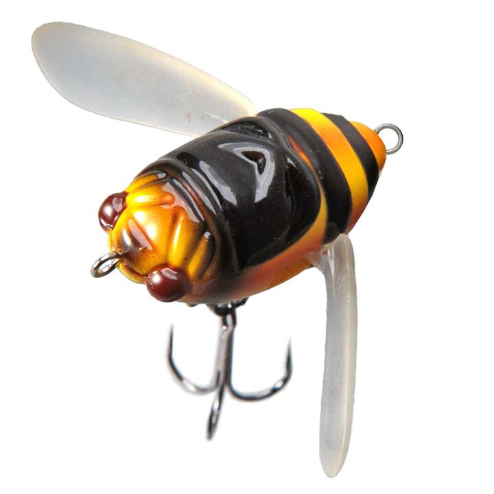 MICRO CICADA,, medium