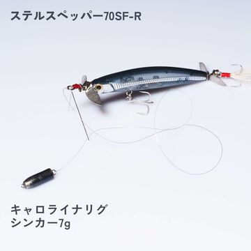 Stealth Pepper  70F-R #279,279, small image number 5