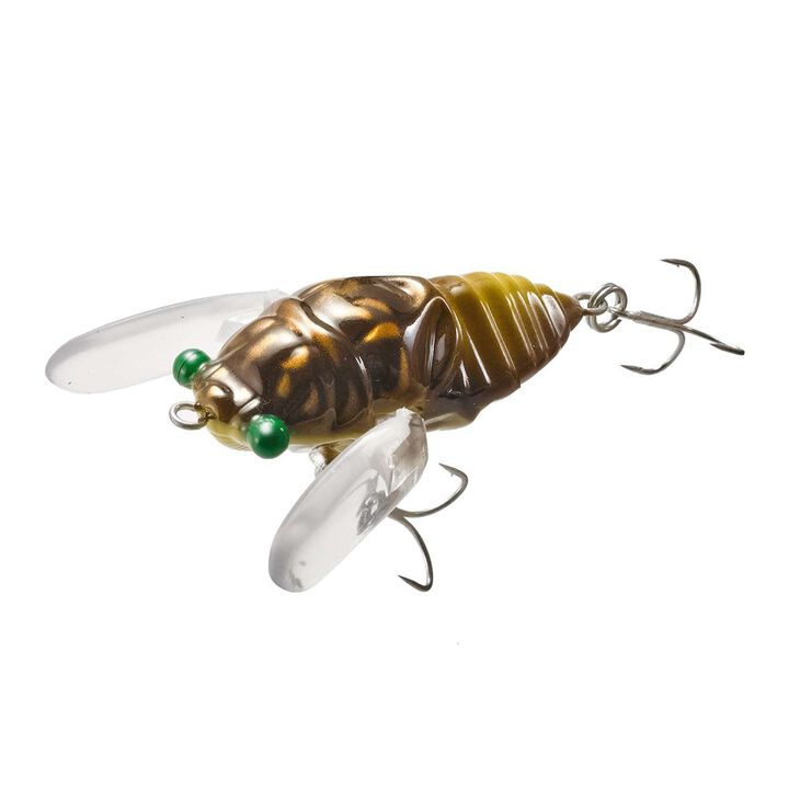 Cicada Origin Magnum,, medium