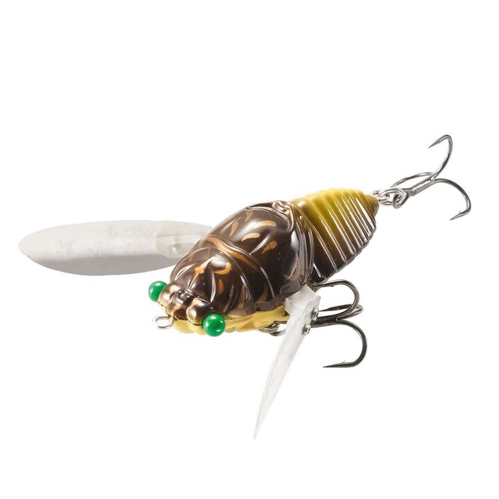 Cicada Jumbo Dead Slow,, medium